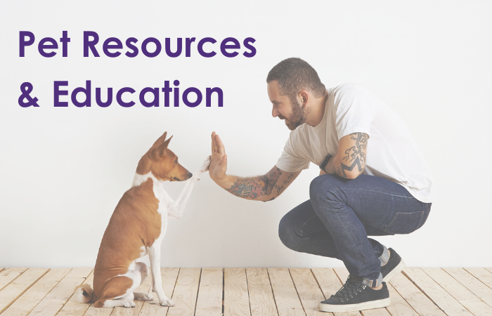 Pet Education and Resources