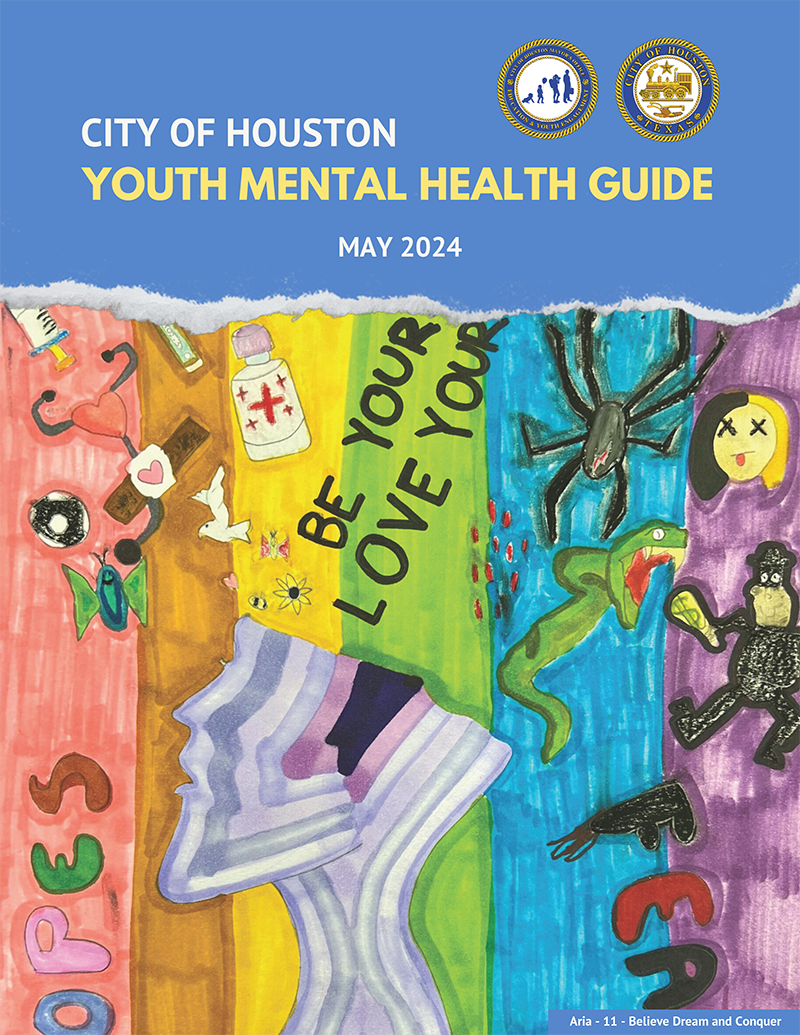 Youth Mental Health Guide