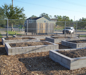 Raised Beds