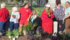 Who Gardens in July in Houston