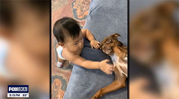 Baby with Doggie