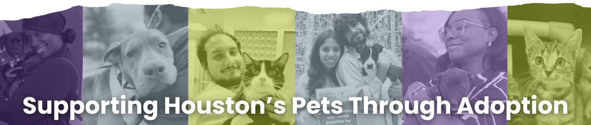 Supporting Houston's Pets Through Adoption
