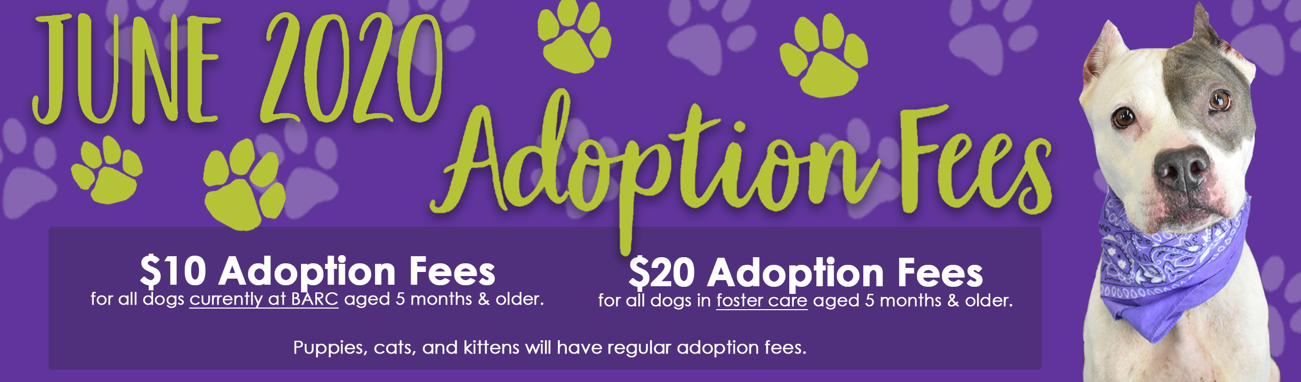 Adopt A Pet / Search Adoptable Pets