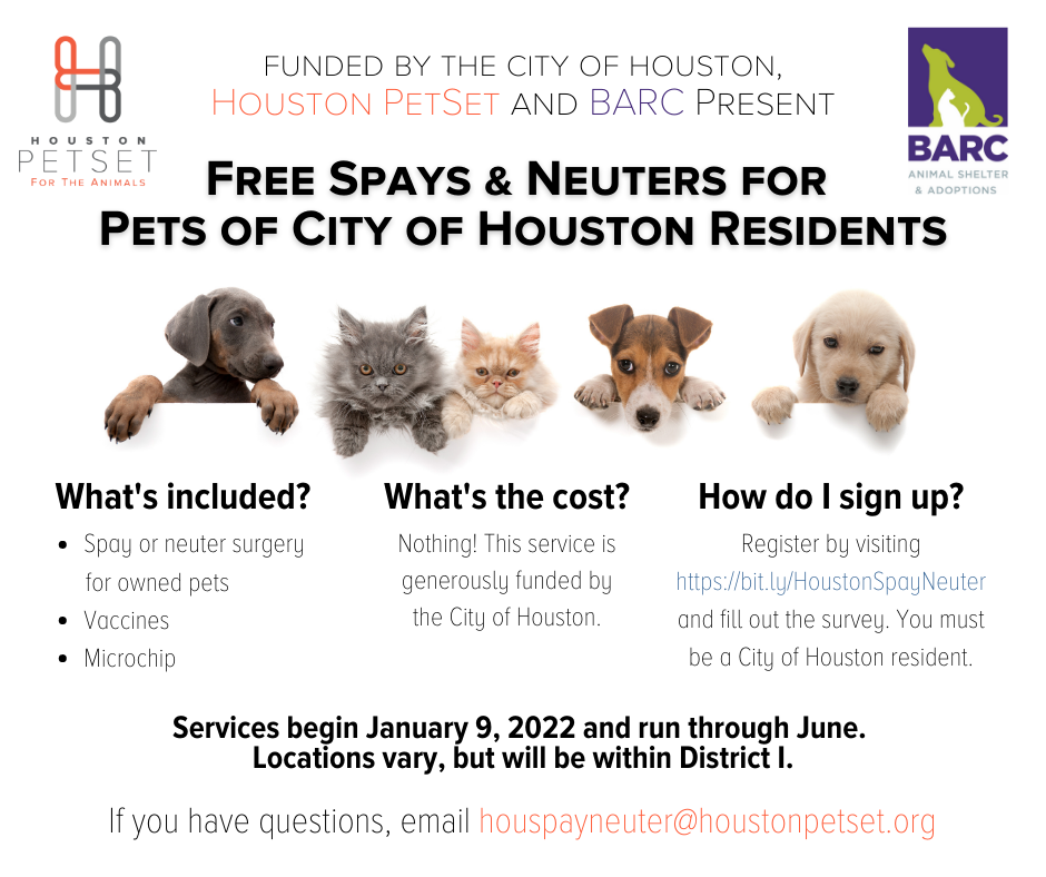 Spay Neuter Surgery Options