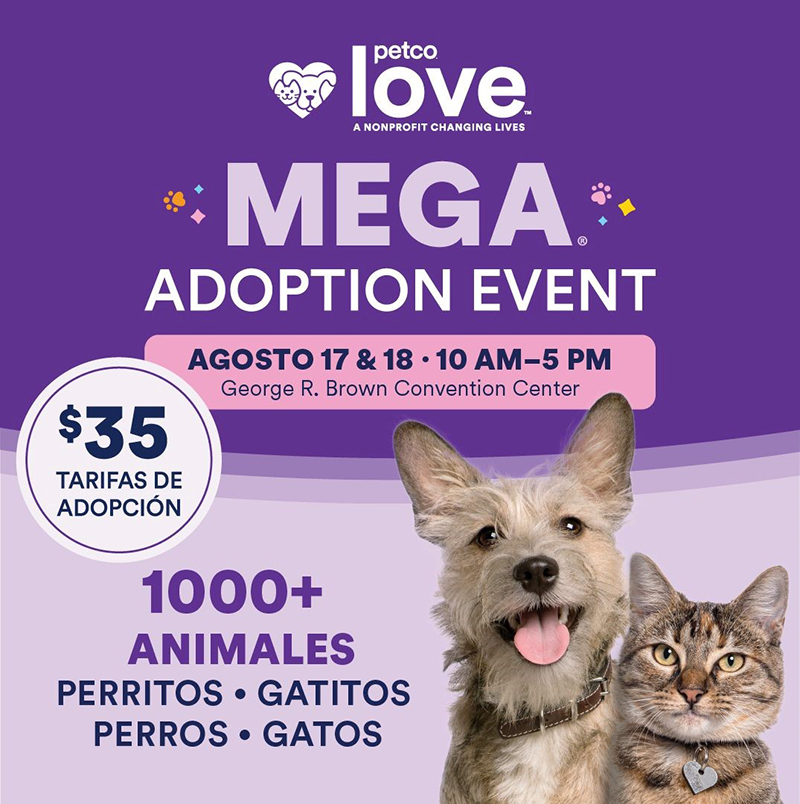 Petco Love Graphic - Spanish