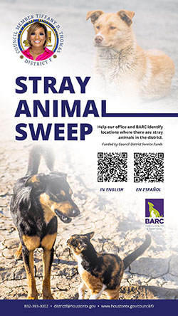 Stray Animal Sweep