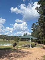 Creekside Canopies from Afar