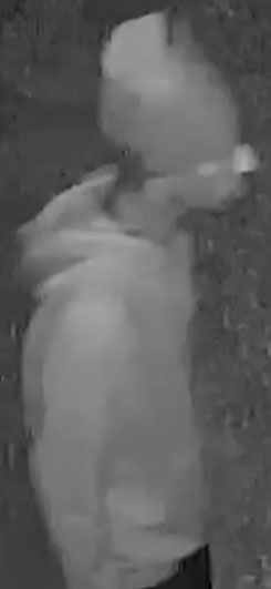 Wanted Suspect