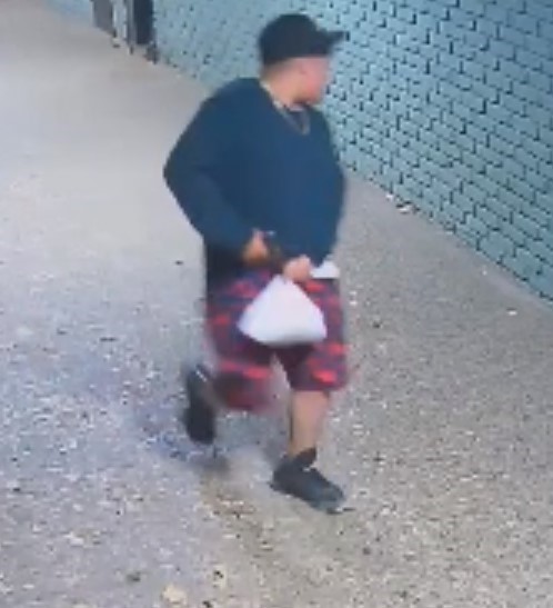 Wanted Suspect 