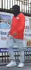 wanted suspect